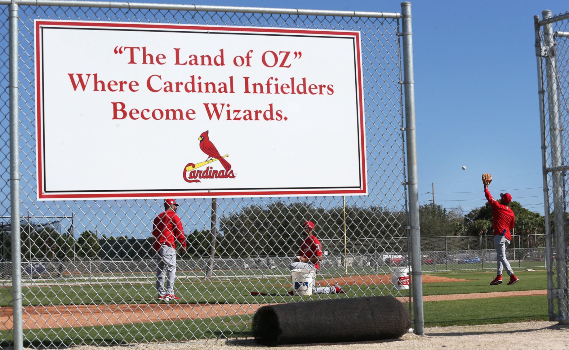 Cardinals spring training